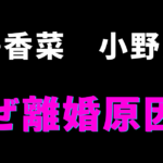 花澤香菜と小野賢章の離婚原因とは？なぜ別れを選んだのか徹底解説